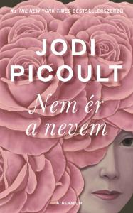 Jodi Picoult - Nem ér a nevem